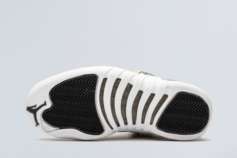 womens air jordan 12 reptile