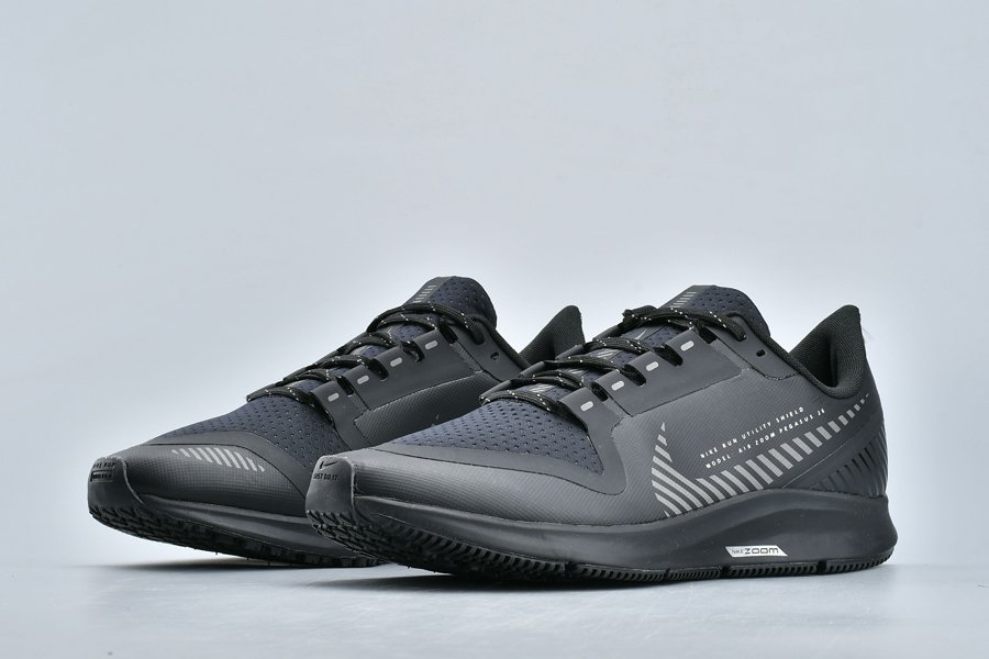 Nike Air Zoom Pegasus 36 Shield Black/Metallic Silver AQ8005-001 ...