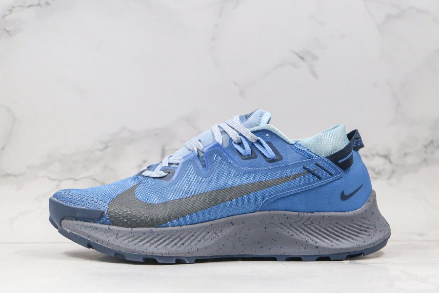 Nike Pegasus Trail 2 Blue Grey Running Shoes Mens